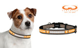 Tennessee Volunteers Classic Leather Toy Football Collar-0