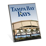 Tampa Bay Rays Sign 8x10 Wood-0