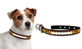 Missouri Tigers Dog Collar - Small-0