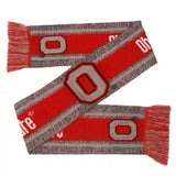 Ohio State Buckeyes Scarf Big Logo Wordmark Gray-0