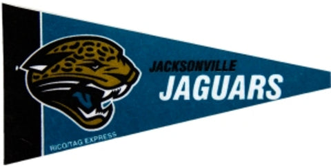 Jacksonville Jaguars Pennant Set Mini 8 Piece-0