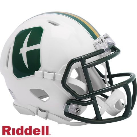 North Carolina Charlotte 49ers Helmet Riddell Replica Mini Speed Style-0
