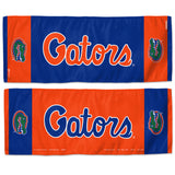 Florida Gators Cooling Towel 12x30-0