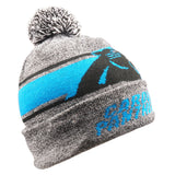 Carolina Panthers Beanie Gray Stripe Light Up - Team Fan Cave