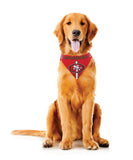 San Francisco 49ers Pet Bandanna Size L-0