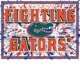 Florida Gators 3D Art Print 12x16 Splatter-0