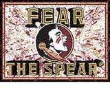 Florida State Seminoles 3D Art Print 12x16 Splatter-0
