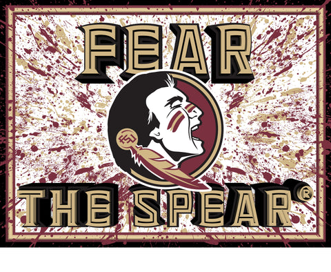 Florida State Seminoles 3D Art Print 12x16 Splatter-0