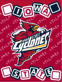 Iowa State Cyclones Blanket 36x48 Woven Baby Throw - Team Fan Cave