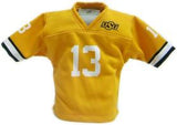 Oklahoma State Cowboys Mini Team Jersey - Team Fan Cave