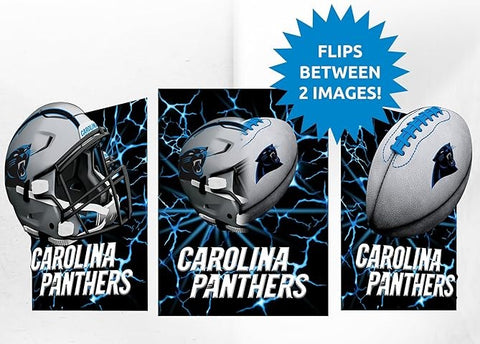 Carolina Panthers 3D Art Print 12x16 Lightning Flip-0