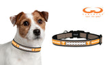 Tennessee Volunteers Reflective Toy Football Collar - Team Fan Cave