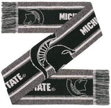 Michigan State Spartans Scarf Big Logo Wordmark Gray - Team Fan Cave